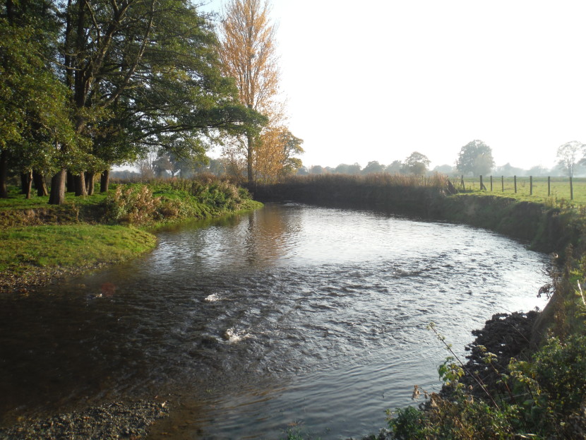 Eyton shallows
